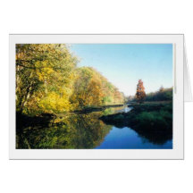 Roosevelt Island Card