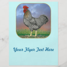 Rooster and Clouds Flyer