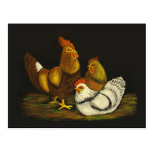 Rooster and Hens ~ postcard