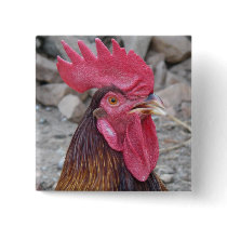 Rooster Button
