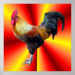Rooster flash print