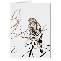 Roosting Hawk Greeting Cards