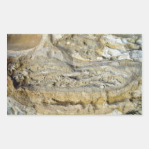 Root fossils in limestone seawall sticker
