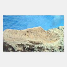 Root fossils in limestone seawall stickers