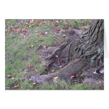 Rooted Greeting Cards