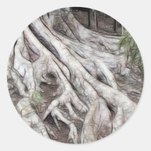 ROOTS 5 ROUND STICKERS