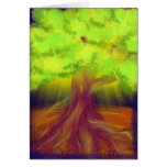 Roots