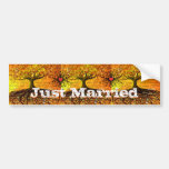 Roots of Love Bumper Stickers