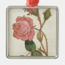 Rosa Cenifolia Muscosa Christmas Ornament