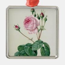 Rosa Centifolia Bullata Christmas Tree Ornaments