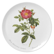 Rosa damascena coccinea plates