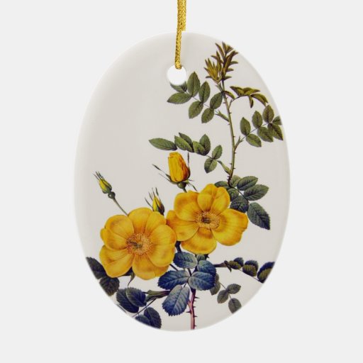 Rosa Eglanteria, yellow wild roses,P. J. Redoute Ornament