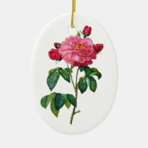 Rosa Gallica - Red Rose by Redoute Ornaments