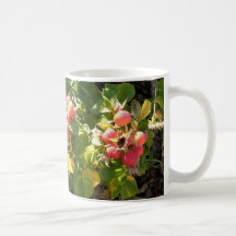 Rosa Rugosa Mug