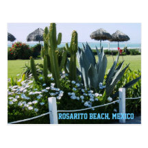 Rosarito Beach, Mexico (Cacti) Postcards