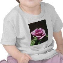 Rosas Moradas 2 T-shirts