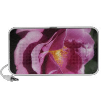 Rosas Moradas 3 Portable Speakers