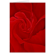 Rose #16 Greeting Card