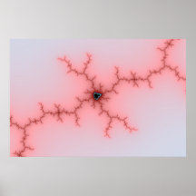 Rose 1 posters