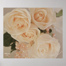 Rose 3 poster