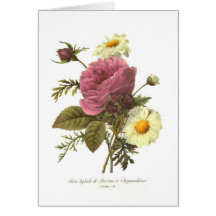 Rose and Chrysanthemum Cards