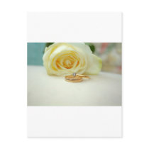 Rose and Wedding Ring Postcards