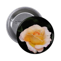Rose Anstecknadelbutton