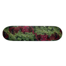 Rose Arches Roses Skate Decks
