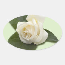 Rose blanc autocollants