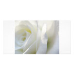 Rose blanc cartes avec photo