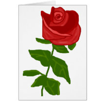 Rose blank card