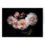 Rose Bloom Smiles Cards By Stan the Roseman