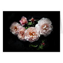 Rose Bloom Smiles Cards By Stan the Roseman