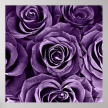 Rose Bouquet in Purple Posters
