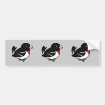 Rose-breasted Grosbeak Bumper Stickers