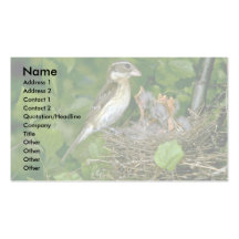 Rose-breasted Grosbeak (female) with young Business Cards