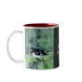 Rose Breasted Gross Beak Coffee Cup Coffee Mug