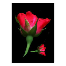 Rose Bud ATC Business Card Templates