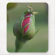 Rose Bud Mousepad