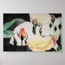rose buds poster
