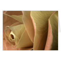 Rose Greeting Card