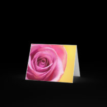 Rose Card cards