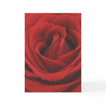 rose cards