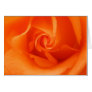 rose card