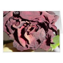 Rose Card