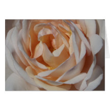 Rose Card