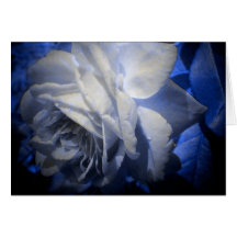Rose Card