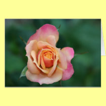 Rose cards