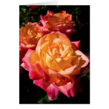 Rose Cards