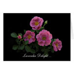 Rose Cards By Stan The Roseman